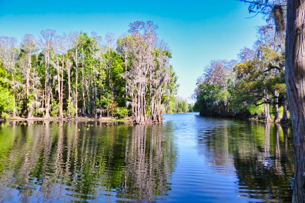 Shingle Creek Regional Park - Steffee Landing