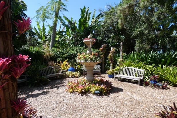 Tranquil seating at Marie Selby Botanical Gardens