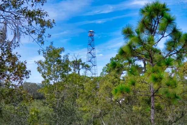 Fire tower at Allen David Broussard Catfish Creek Preserve