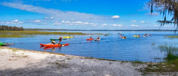 Kayaks approaching Lake Louisa shoreline