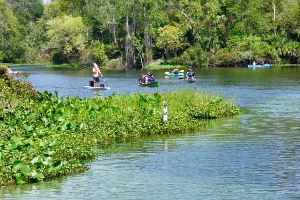 Paddling on Wekiva River