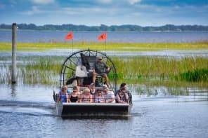 Witness the real Florida on an exhilarating airboat ride as it powers across the water